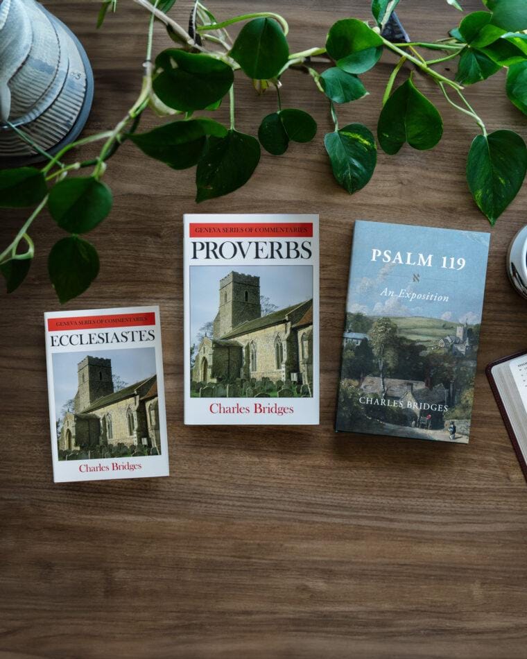 Charles Bridges Bundle