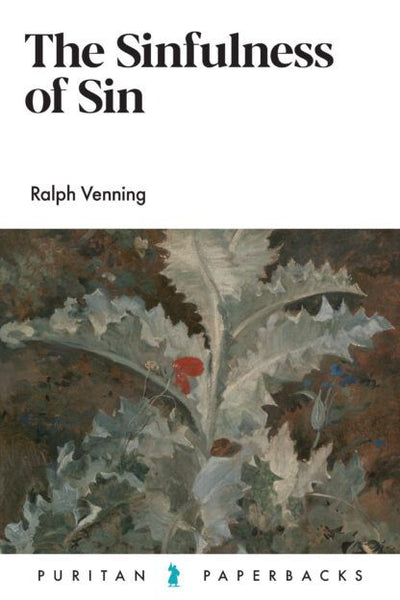 The Sinfulness Of Sin