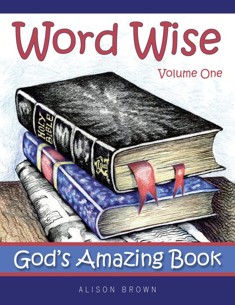 Word Wise: God's Amazing Book, Volume 1