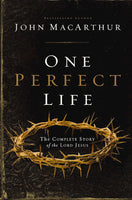 One Perfect Life - Paperback