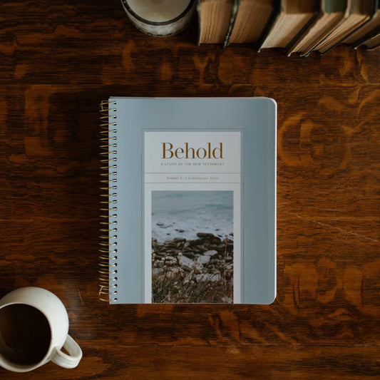 Behold: A Study of the New Testament, Volume 3
