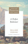 Perfect Redeemer (A) - Puritan Treasures for today