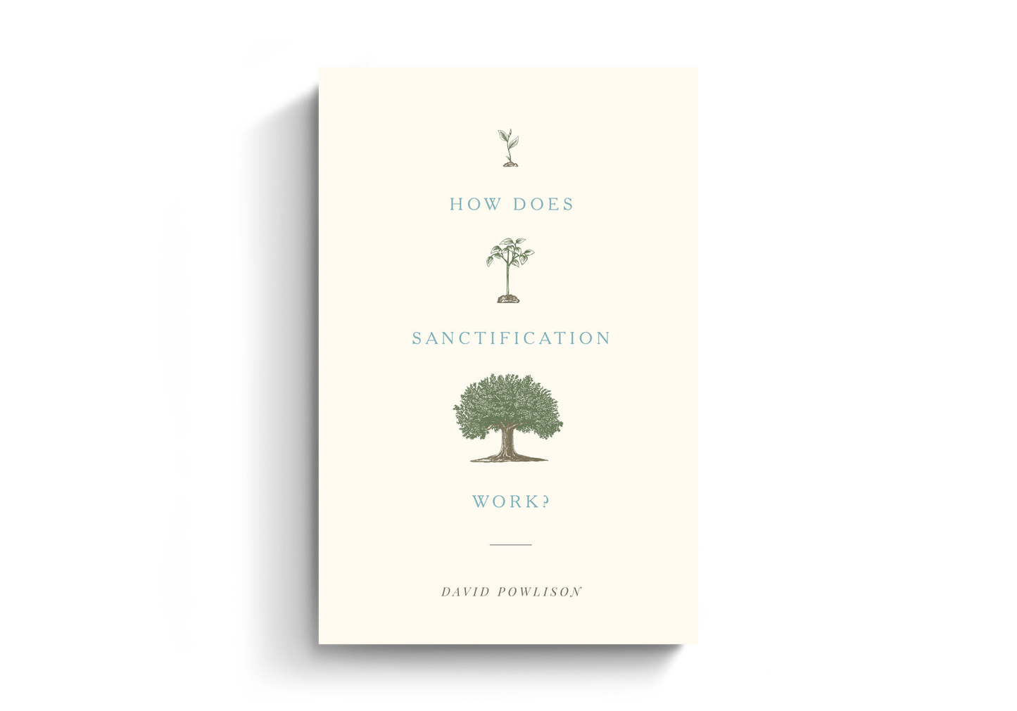 How Does Sanctification Work?