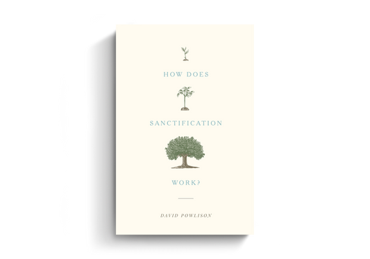 How Does Sanctification Work?