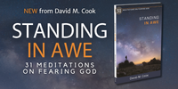 Standing in Awe - 31 Meditations on Fearing God