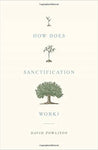 How Does Sanctification Work