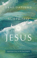 Surprised by Jesus: Subversive Grace in the Four Gospels