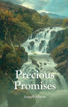 Precious Promises